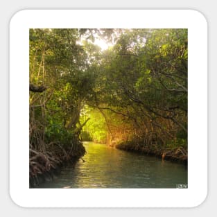 la perguera puerto rico mangrove wetland landscape photograph ecopop art Sticker